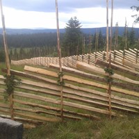Skigard med granstaur, vidjesveg og ståltråd