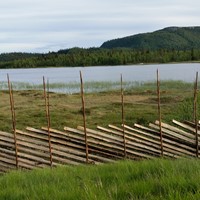 Skigard med granstaur og ståltråd