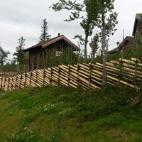 Skigard med einerstaur og vidjesveg forsterket med ståltråd