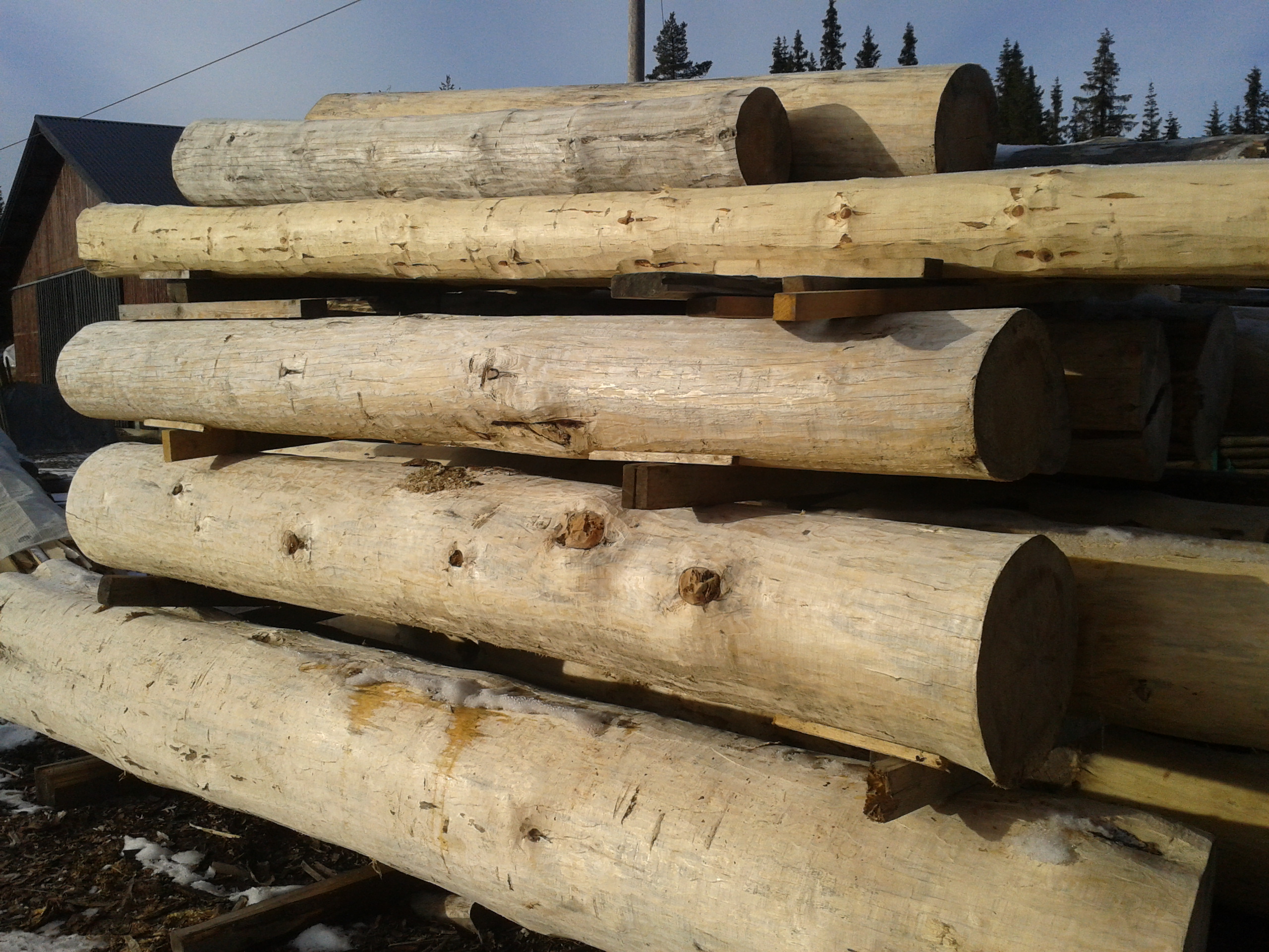 2012-10-28 13.36.55.jpg