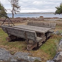 IMG_4033.JPG
